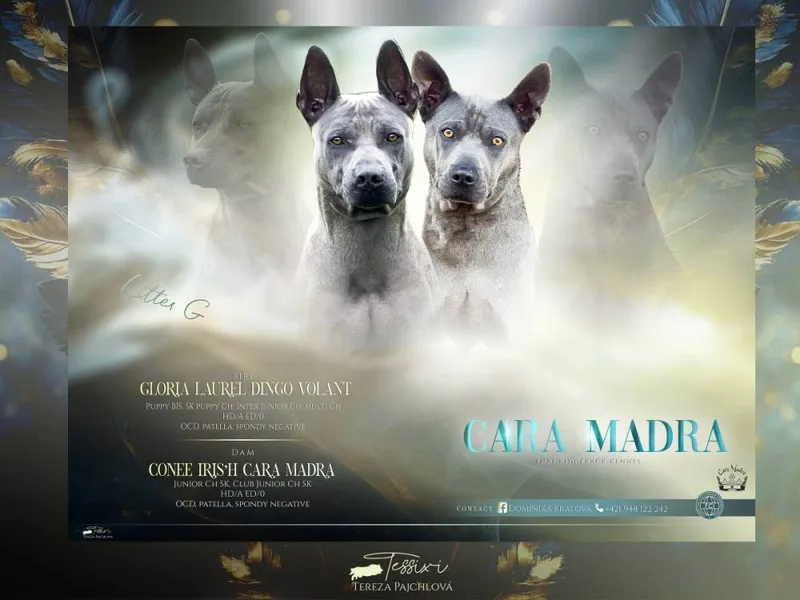 Cara Madra — fotka č. 1