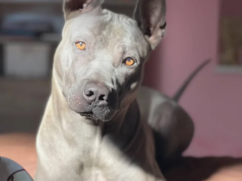 Cara Madra — fotka č. 2
