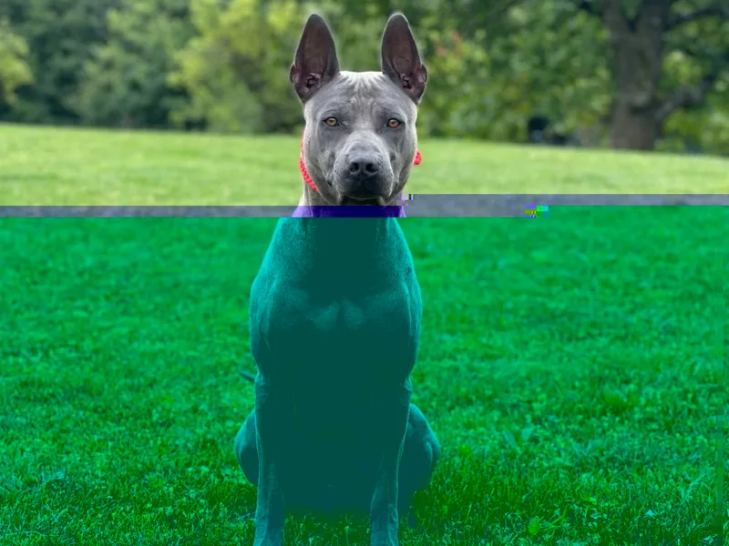 Cara Madra — fotka č. 3