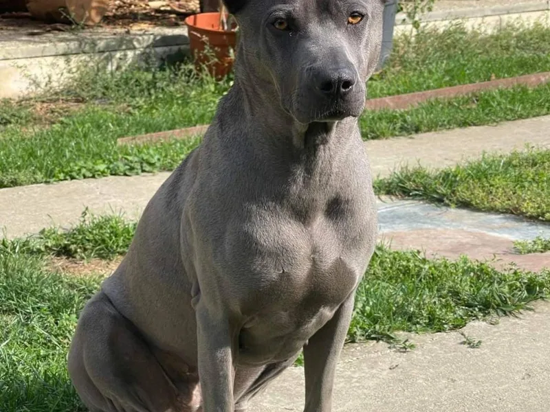 Cara Madra — fotka č. 4