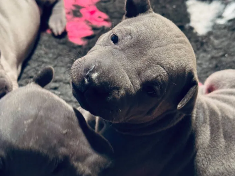 Cara Madra — fotka č. 7