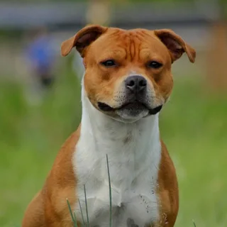 Photo of A Dose Of Happiness Mareamas