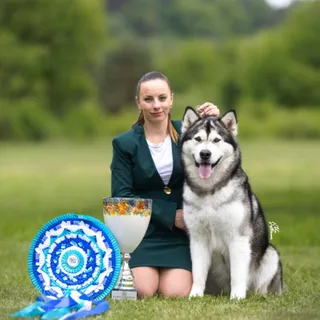 Logo stanice Bellissima Cane