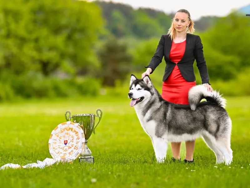 Bellissima Cane — fotka č. 1