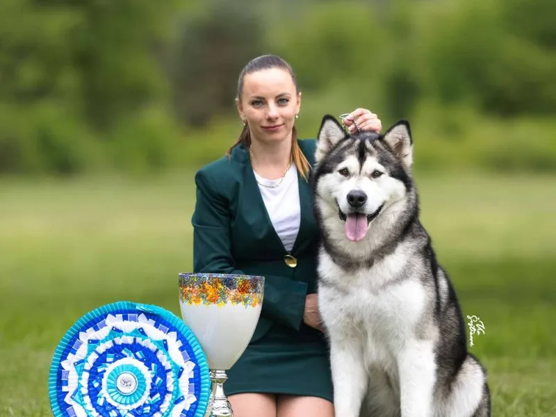 Bellissima Cane — fotka č. 4