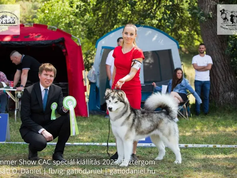 Bellissima Cane — fotka č. 5